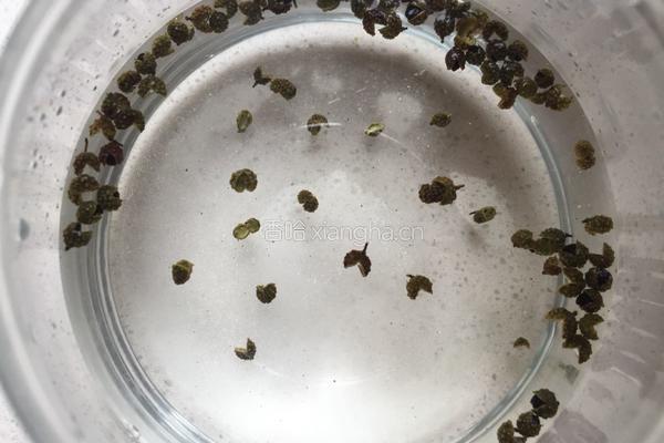 自制酸甜泡菜的做法图解9