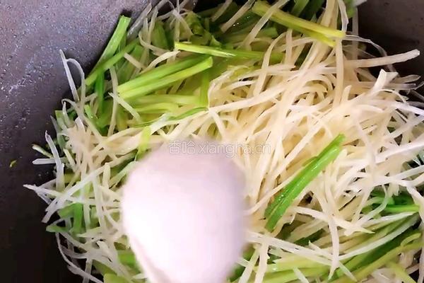 毛芹炒土豆丝的做法图解6