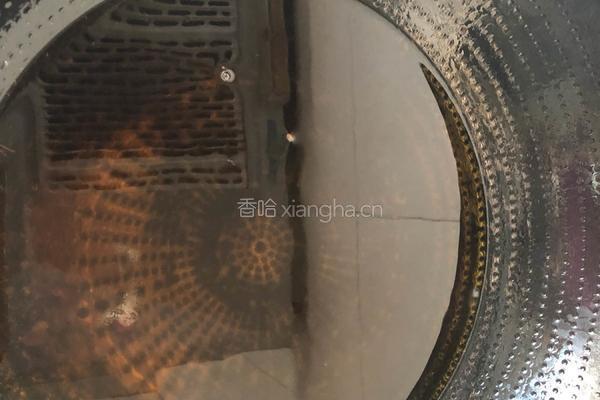 带鱼烧萝卜的做法图解4