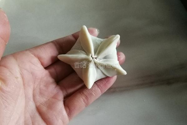 好吃又好看的蒸饺这样做（馅料到造型的详细过程）的做法图解9