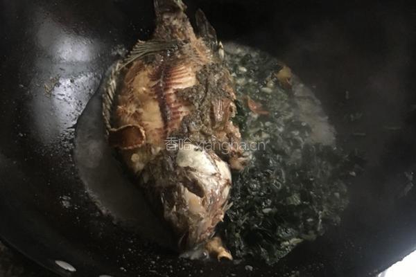 紫苏焖鱼的做法图解4