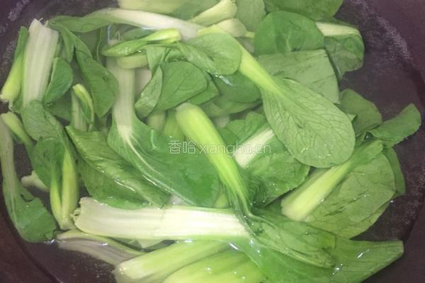 凉拌小油菜的做法图解4
