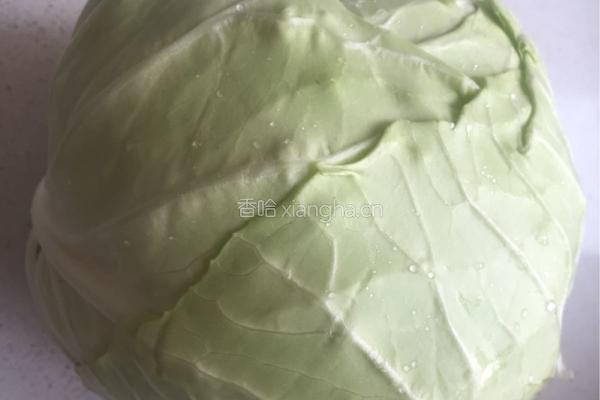 手撕包菜的做法图解3