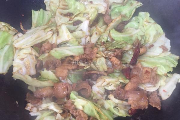 手撕包菜的做法图解12