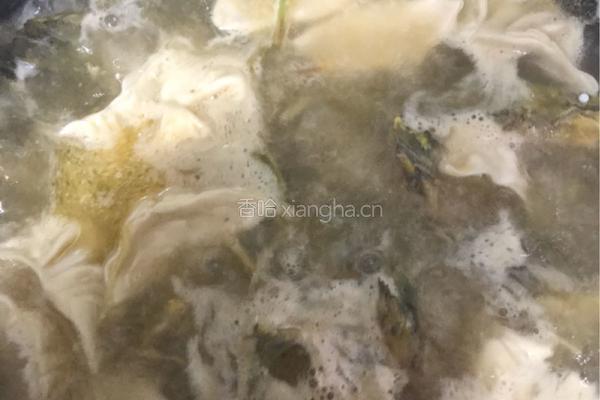 黄骨鱼煮饺子的做法图解4