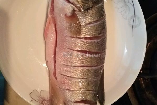 清炖鲈鱼豆腐汤的做法图解1