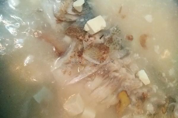 清炖鲈鱼豆腐汤的做法图解7