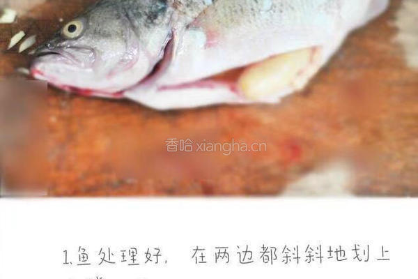 清蒸鲈鱼的做法图解1