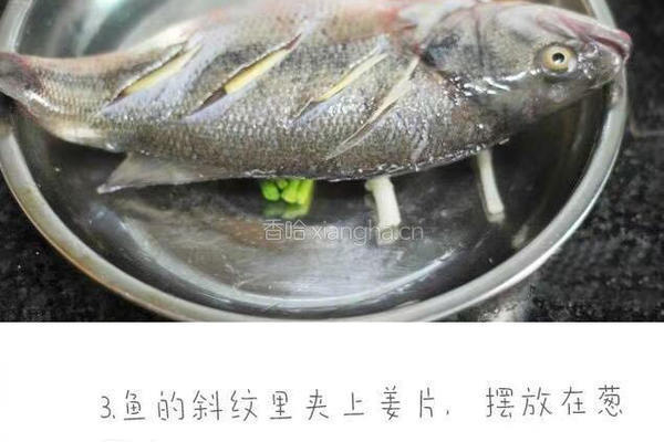 清蒸鲈鱼的做法图解3