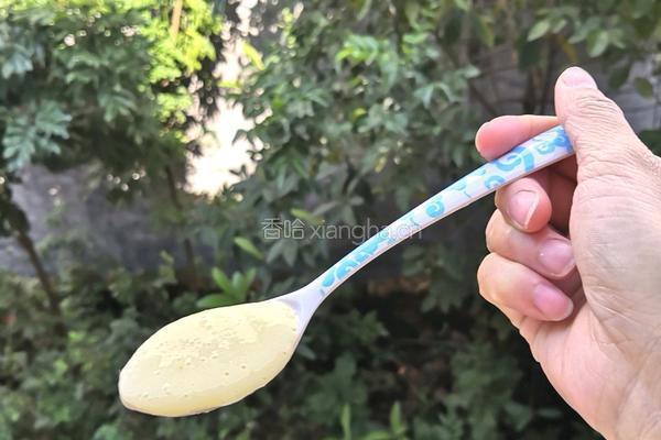 芒果奶昔的做法图解4