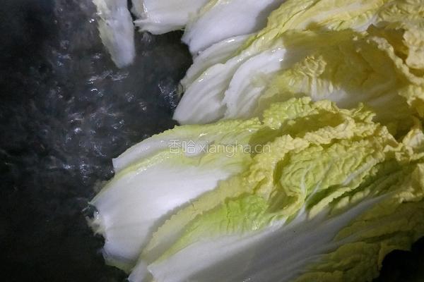 香辣娃娃菜金针菇的做法图解2