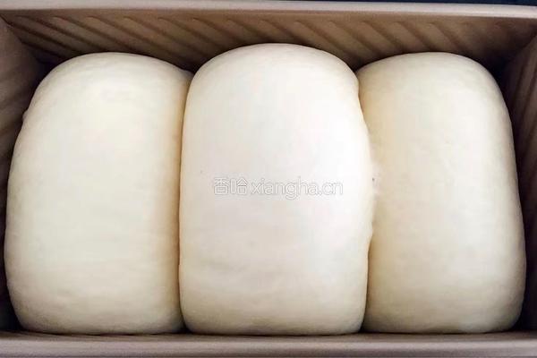 汤种葡萄干吐司的做法图解17