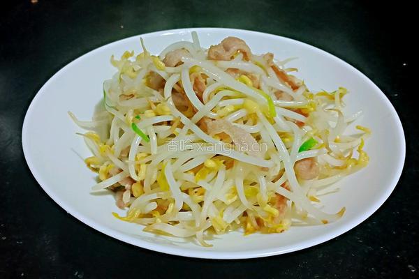 肉丝豆芽的做法图解5