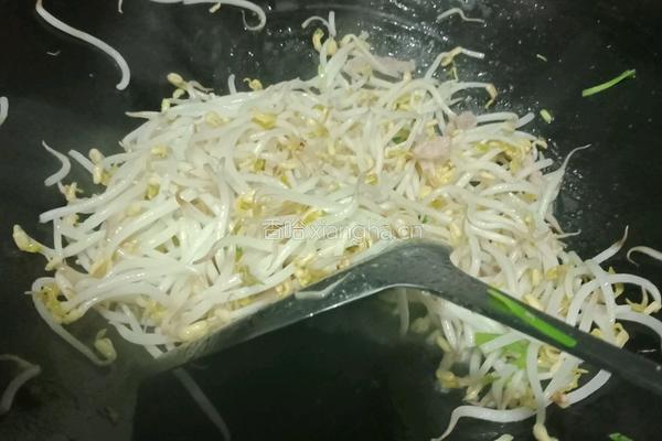 肉丝豆芽的做法图解4