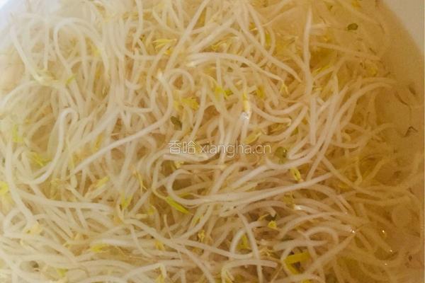 凉拌绿豆芽的做法图解5