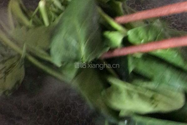 《蒸菜》菠菜蒸鸡蛋的做法图解1