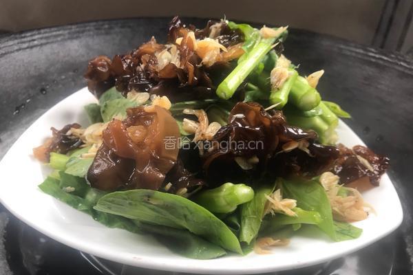 虾米油菜薹的做法图解9