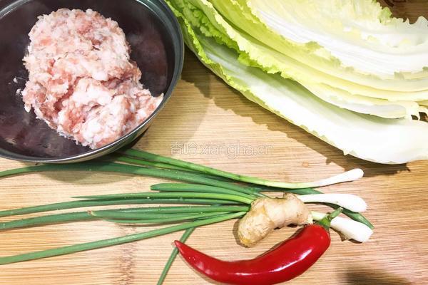 花式白菜酿肉的做法图解1