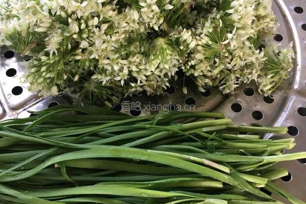 韭菜花的做法图解3