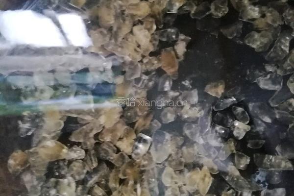 菠萝罐头的做法图解4