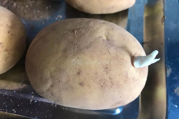土豆馒头的做法图解9