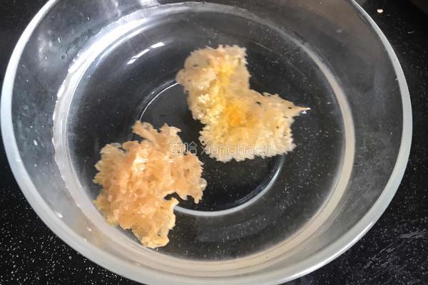 鲜橙银耳羹的做法图解1