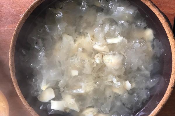 鲜橙银耳羹的做法图解6