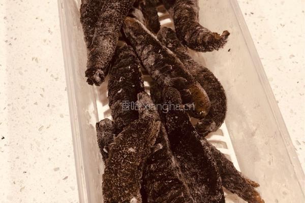 凉拌海参（3分钟早餐）的做法图解1