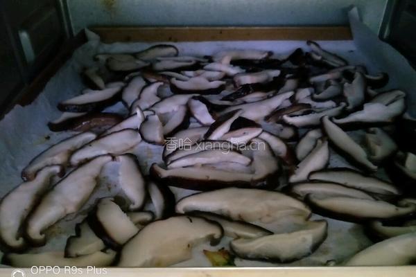 制作宝宝辅食菜粉的做法图解9