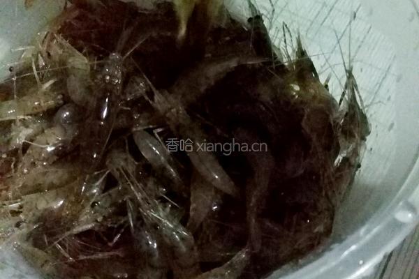 醉虾的做法图解11