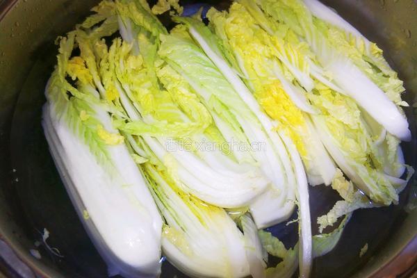 蒜蓉粉丝娃娃菜的做法图解4