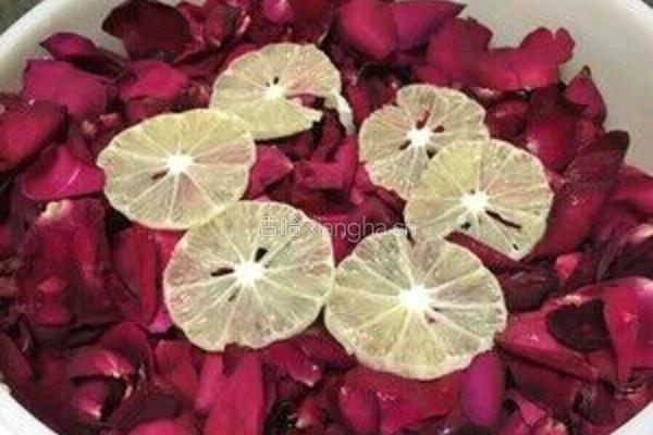 自制玫瑰花爽肤水的做法图解2