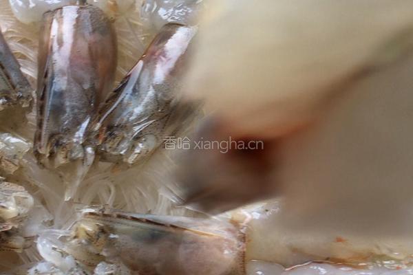 蒜蓉开背虾的做法图解5
