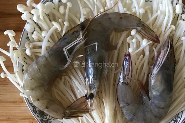 蒜蓉金针菇蒸虾的做法图解5