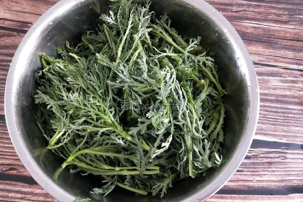 蒸茼蒿的做法图解2