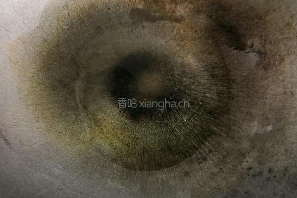 杂锦鱼泡的做法图解5
