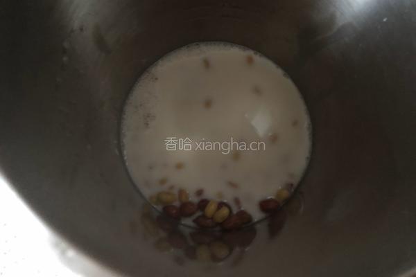 花生豆奶的做法图解3