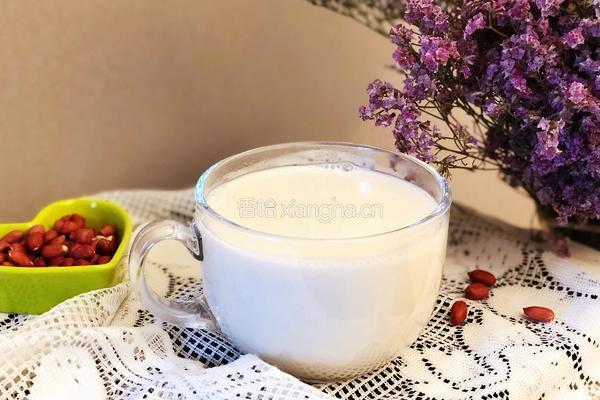 花生豆奶的做法图解8
