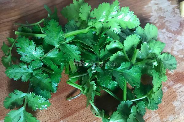 香菇酱拌木耳的做法图解5