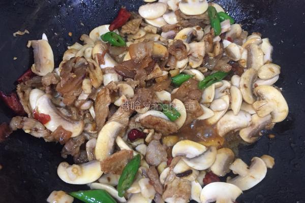 口蘑炒肉的做法图解13
