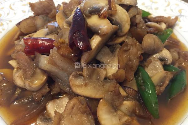 口蘑炒肉的做法图解14