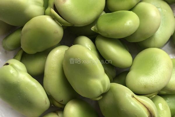 蒸蚕豆的做法图解2