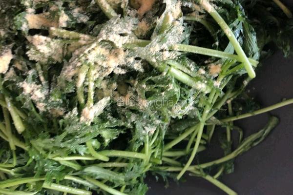 粉蒸山野菜的做法图解7