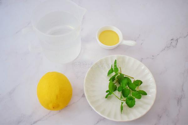 柠檬薄荷水的做法图解1