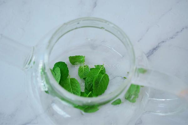 柠檬薄荷水的做法图解5