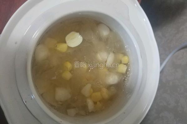 银耳火龙果羹的做法图解7