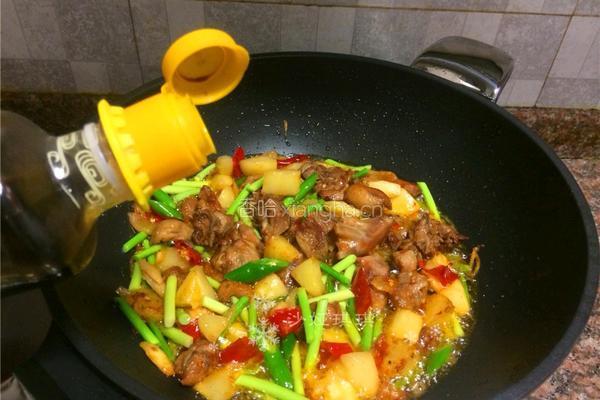 风味酸萝卜烧鸭的做法图解10