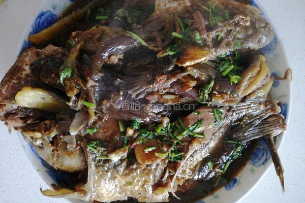 酱炖鲫鱼茄子的做法图解8