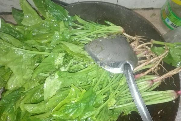 蒜香菠菜的做法图解4