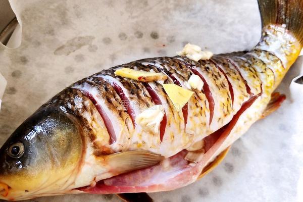 蒸野生鲤鱼的做法图解5